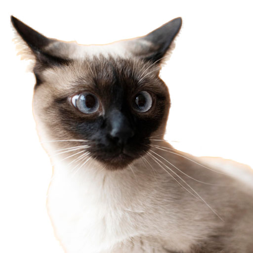 GATOS