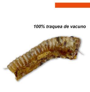 TRAQUEA 20CM