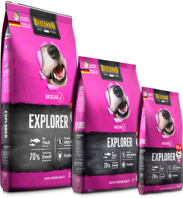 BELCANDO BASELINE EXPLORER