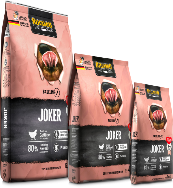 BELCANDO BASELINE JOKER GF