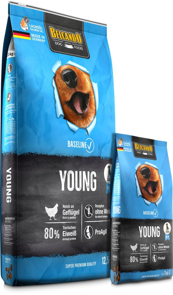 BELCANDO BASELINE YOUNG 12,5 KG