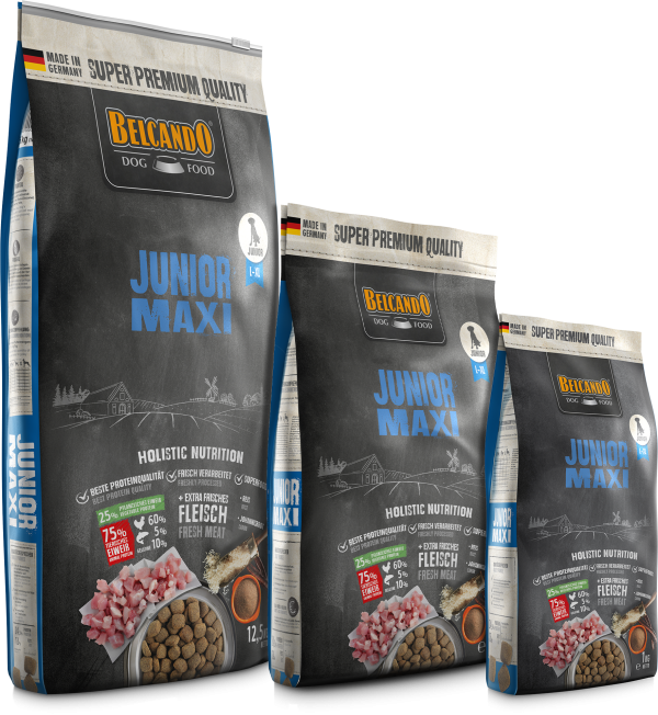 BELCANDO JUNIOR MAXI