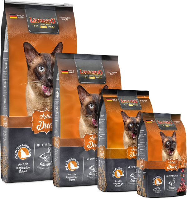 LEONARDO ADULTO PATO