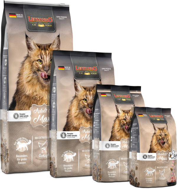 LEONARDO ADULTO MAXI GF