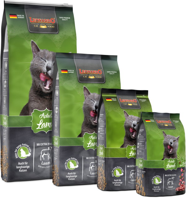 LEONARDO ADULTO CORDERO