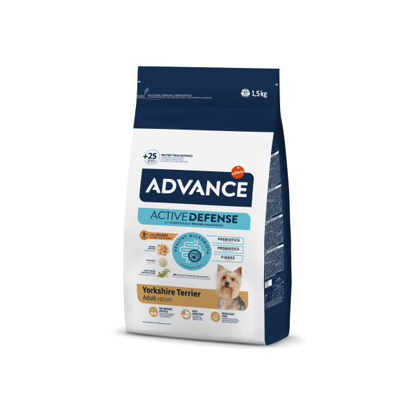 ADVANCE YORKSHIRE TERRIER