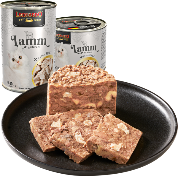 LEONARDO CORDERO + EXTRA FILETE