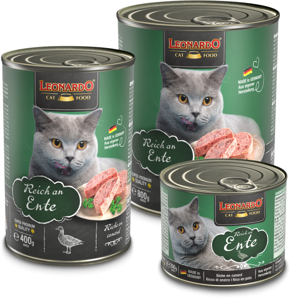 LEONARDO RICO EN PATO