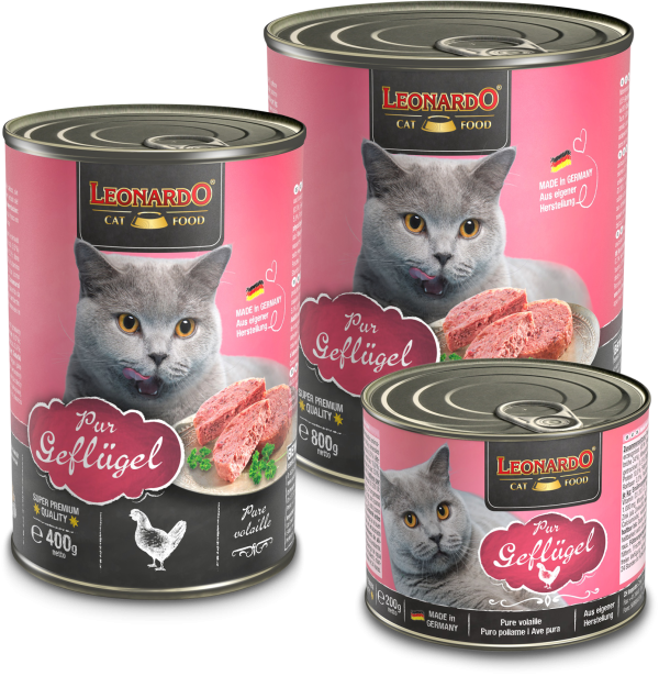 LEONARDO PURO EN AVE