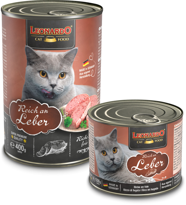 LEONARDO RICO EN HÍGADO