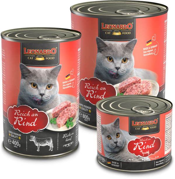 LEONARDO RICO EN TERNERA