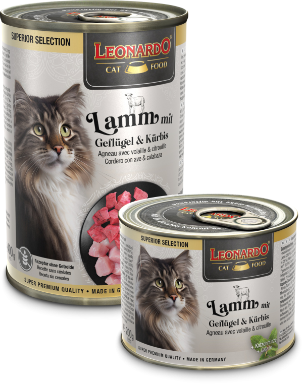 LEONARDO CORDERO CON AVE&CALABAZA