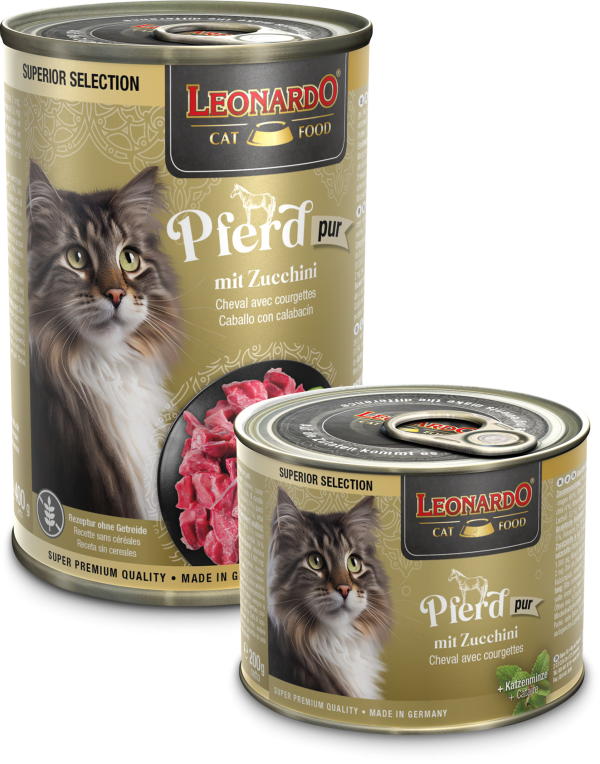 LEONARDO CABALLO CON CALABACIN