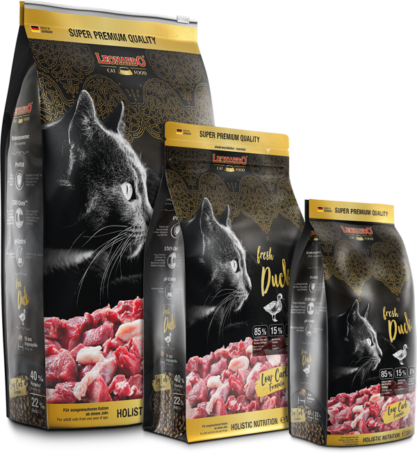 LEONARDO PATO FRESCO