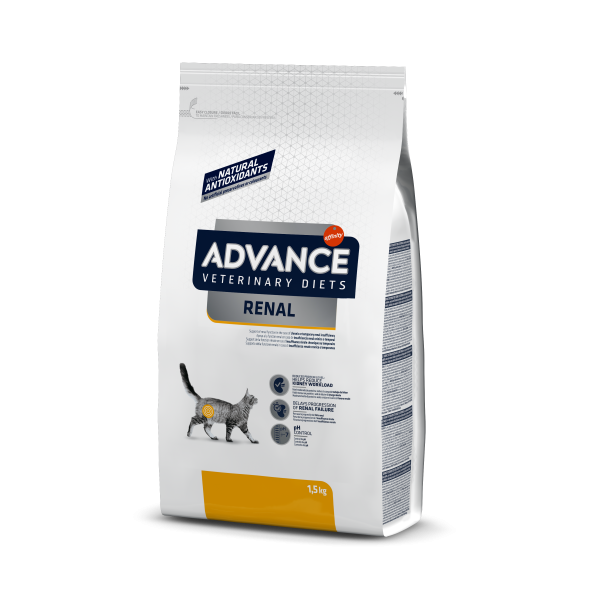 AVET CAT RENAL FAILURE