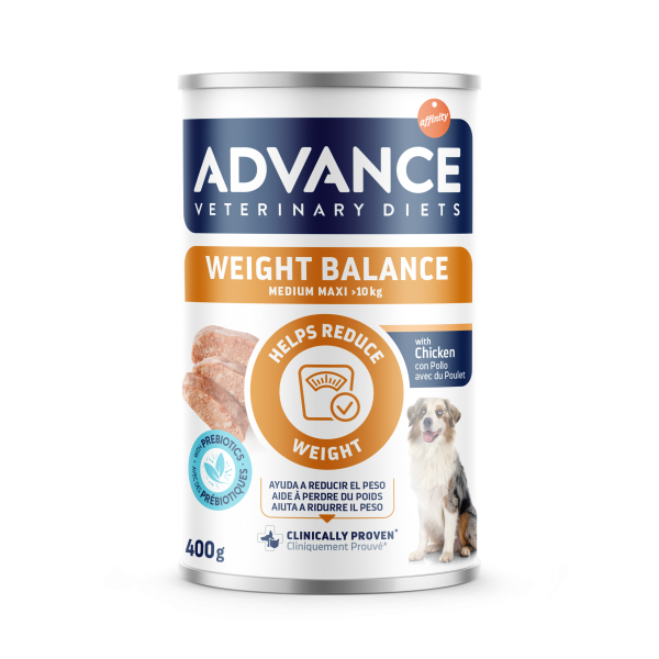 AVET WEIGHT BALANCE MEDIUM-MAXI 400 grs