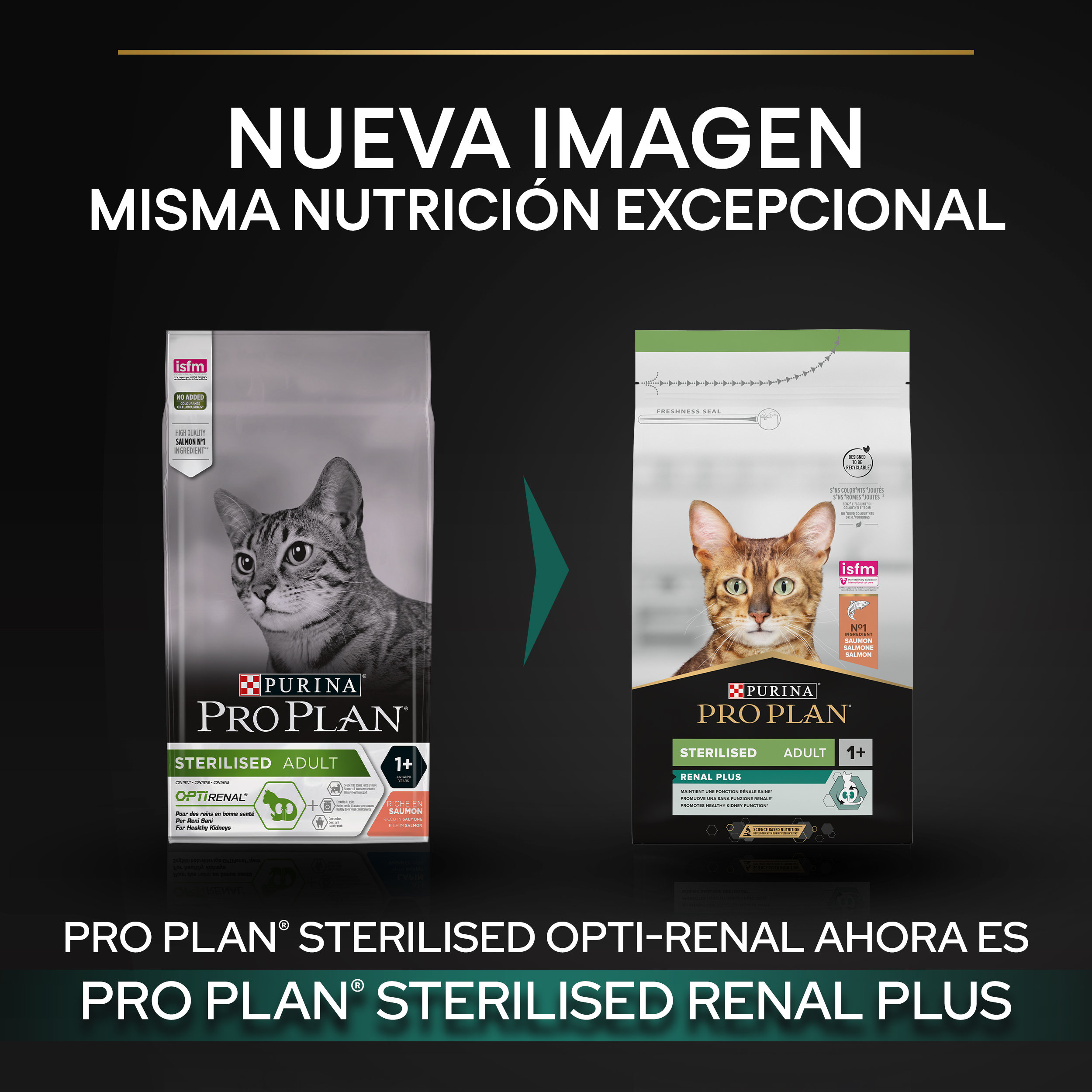 PURINA® PRO PLAN® Gato STERILISED Adult 1+ RENAL PLUS Salmón - Imagen 8