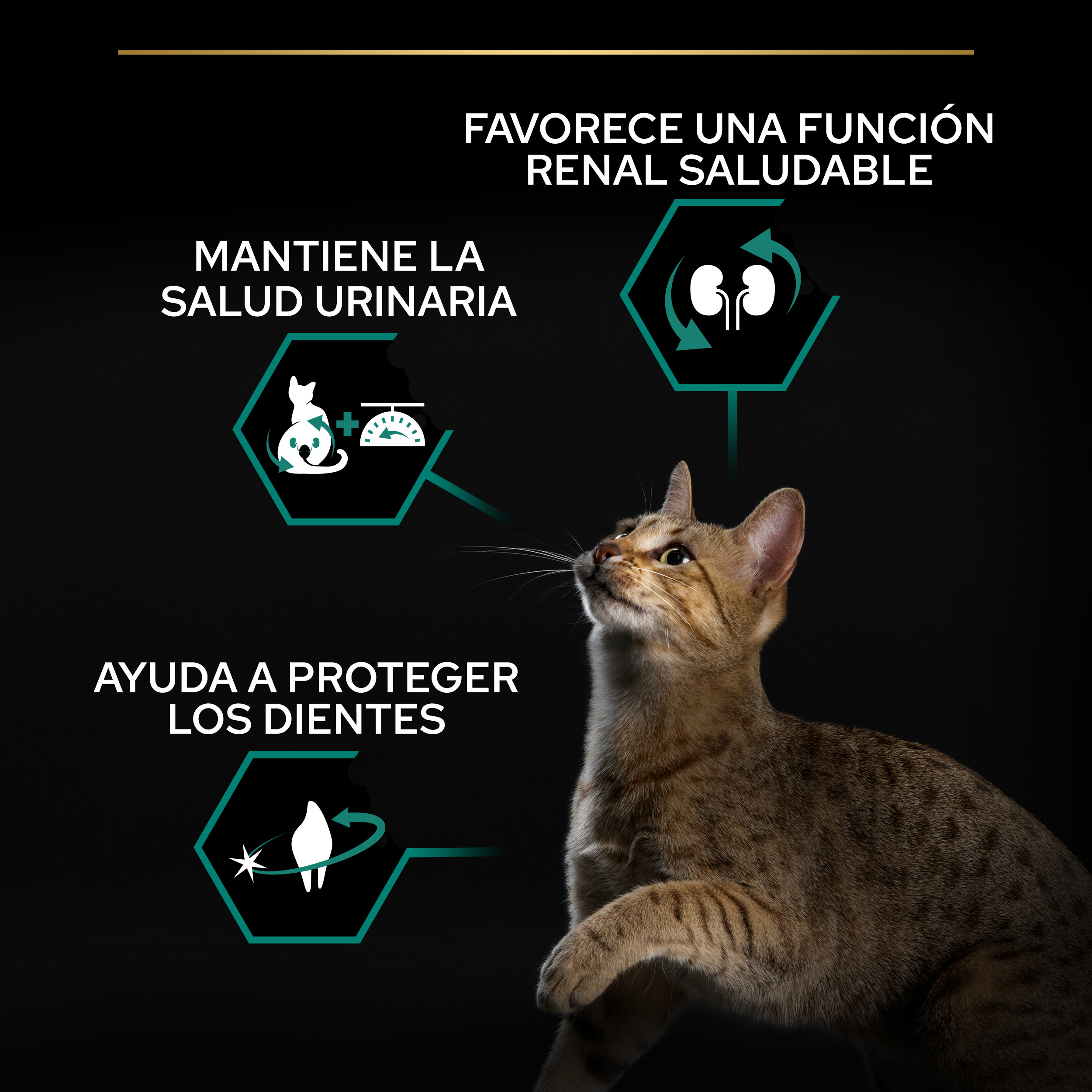 PURINA® PRO PLAN® Gato STERILISED Adult 1+ RENAL PLUS Pavo - Imagen 7