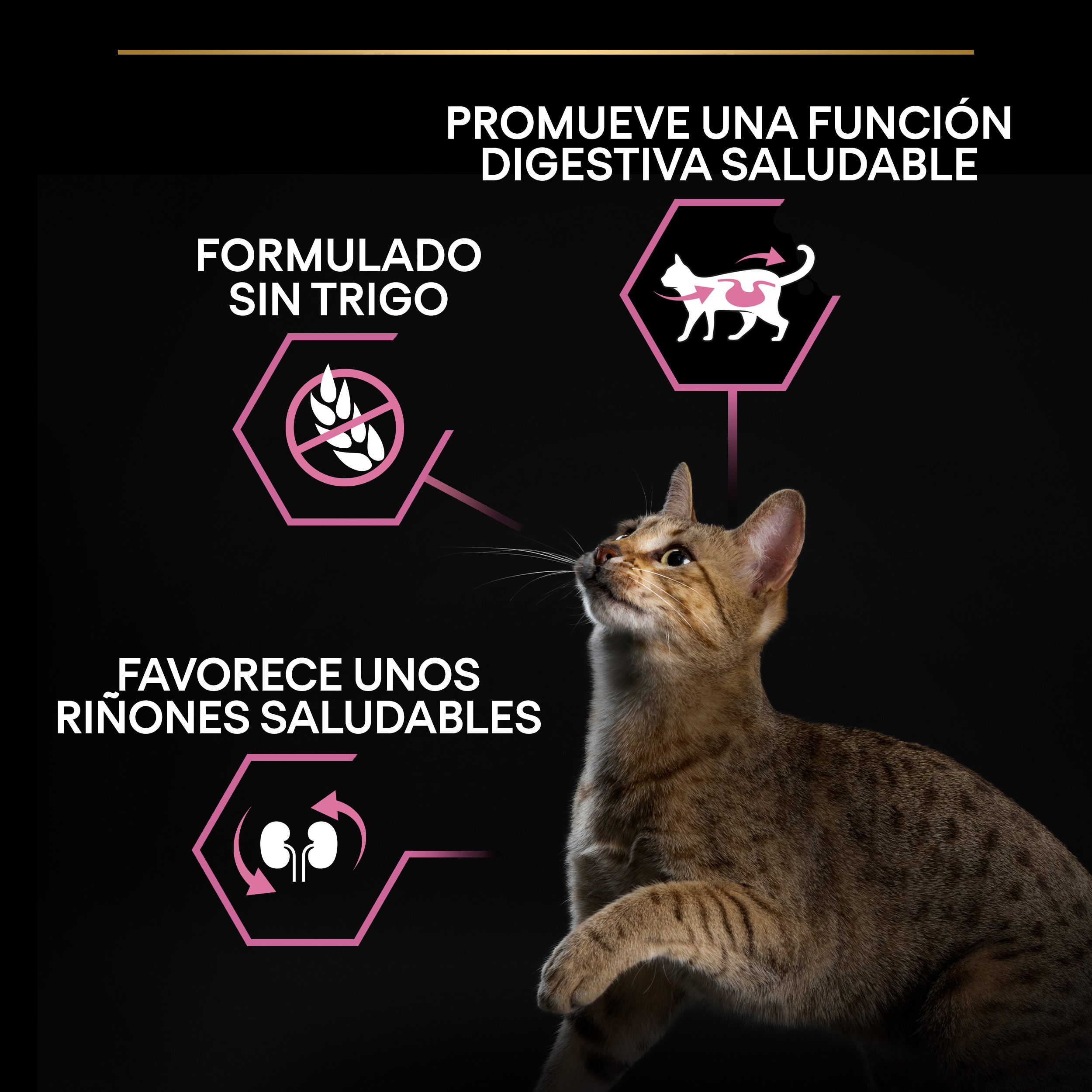 PURINA® PRO PLAN® Gato Adult 1+ DELICATE DIGESTION Pavo - Imagen 6