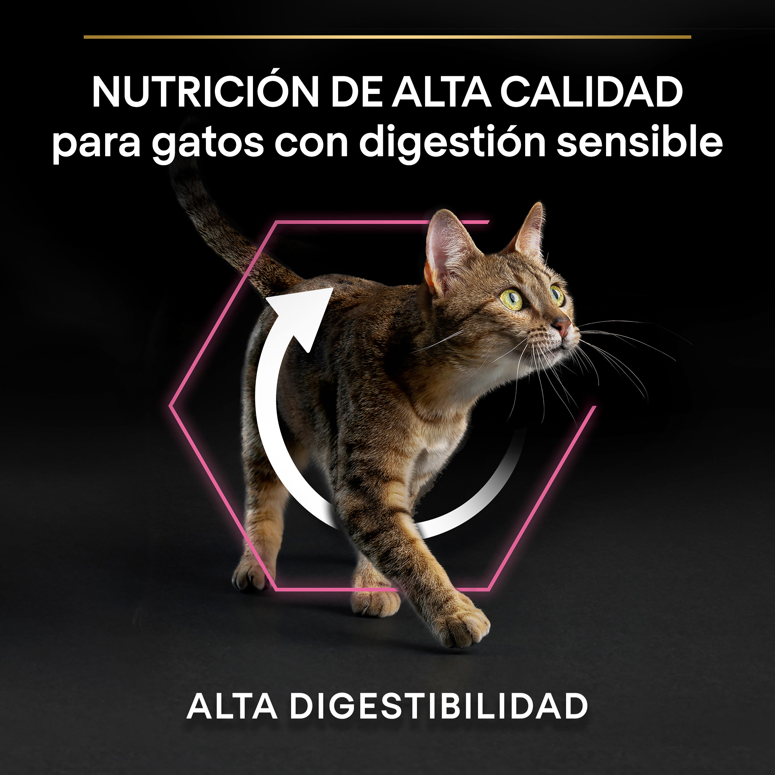 PURINA® PRO PLAN® Gato Adult 1+ DELICATE DIGESTION Pavo - Imagen 4