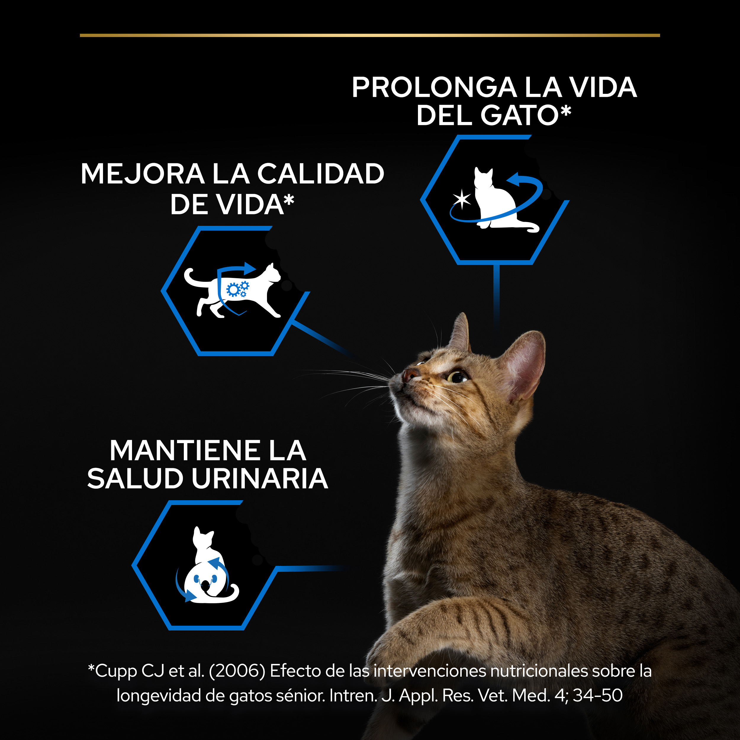 PURINA® PRO PLAN® Gato STERILISED Senior 7+ LONGEVIS® Pavo - Imagen 6
