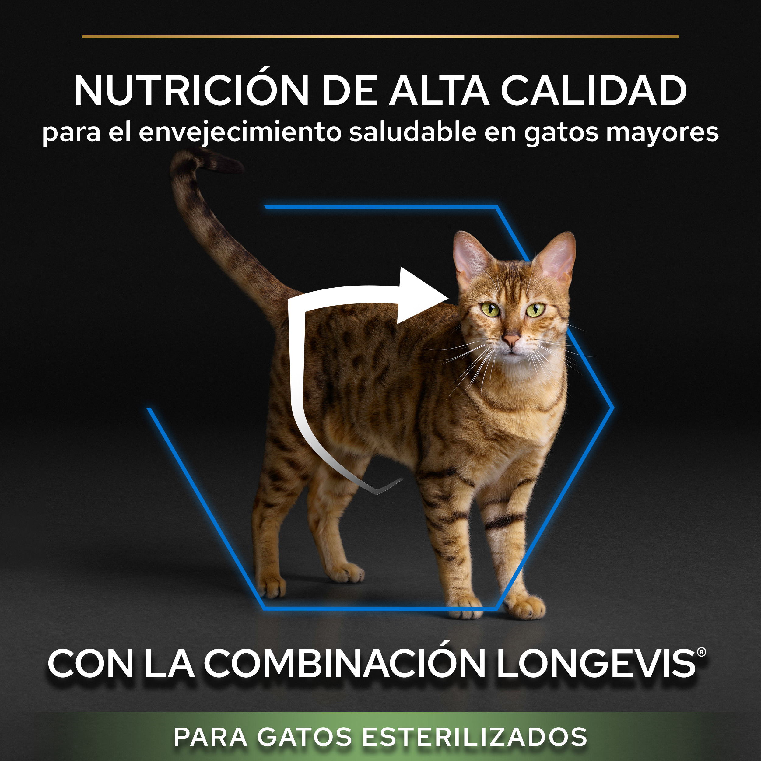 PURINA® PRO PLAN® Gato STERILISED Senior 7+ LONGEVIS® Pavo - Imagen 4
