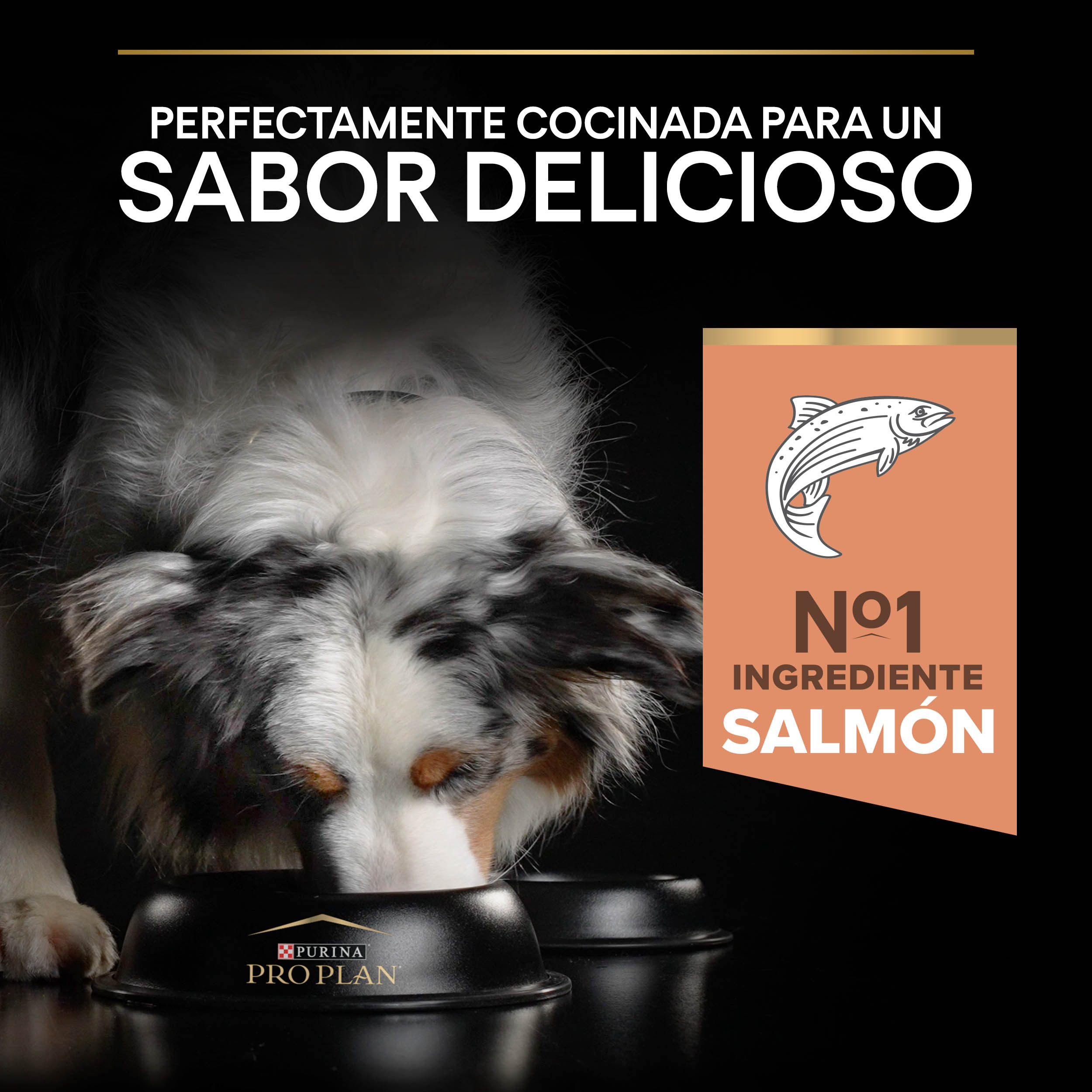 PRO PLAN Medium Adult SENSITIVE SKIN Salmón - Imagen 5