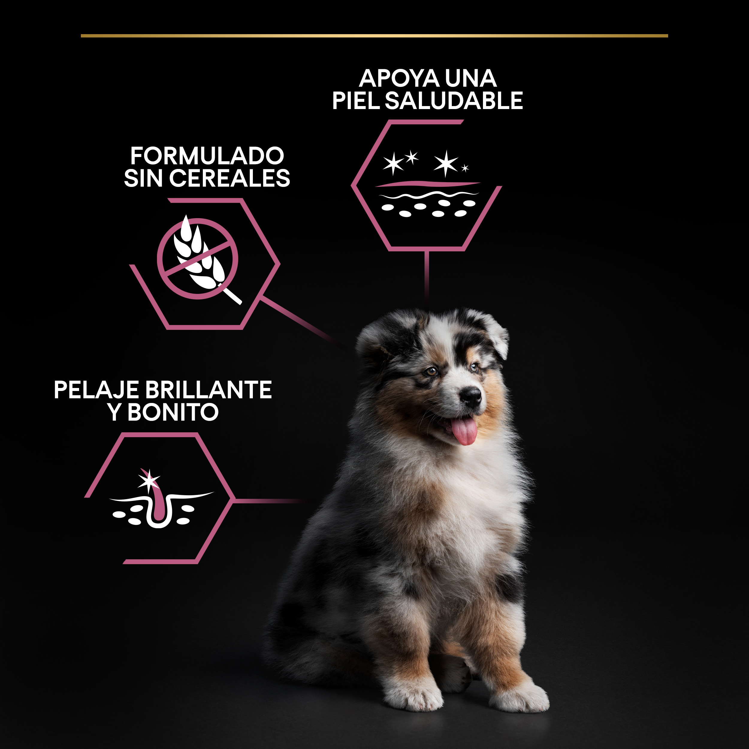 PRO PLAN Puppy Medium SENSITIVE SKIN Salmón - Imagen 9