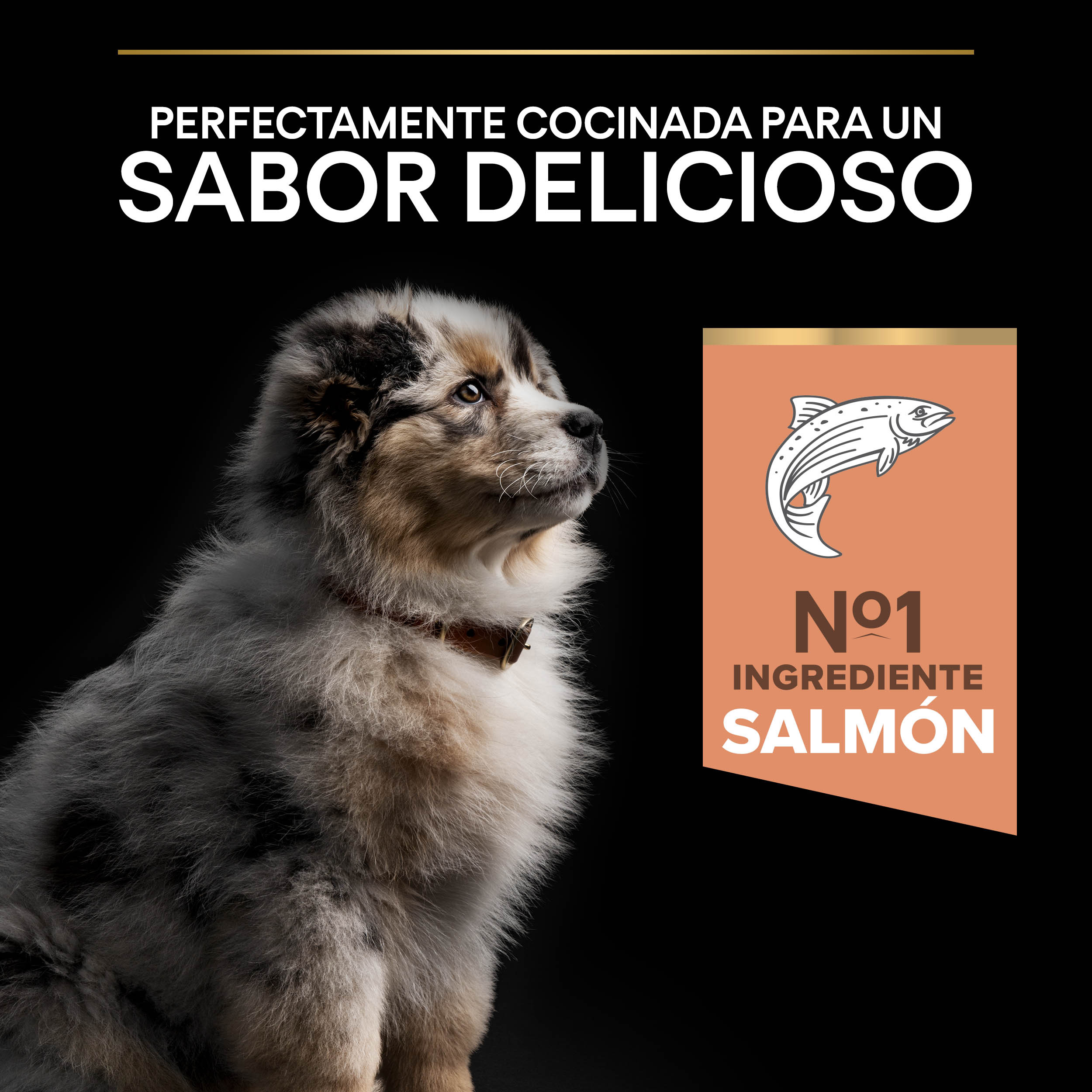 PRO PLAN Puppy Medium SENSITIVE SKIN Salmón - Imagen 5
