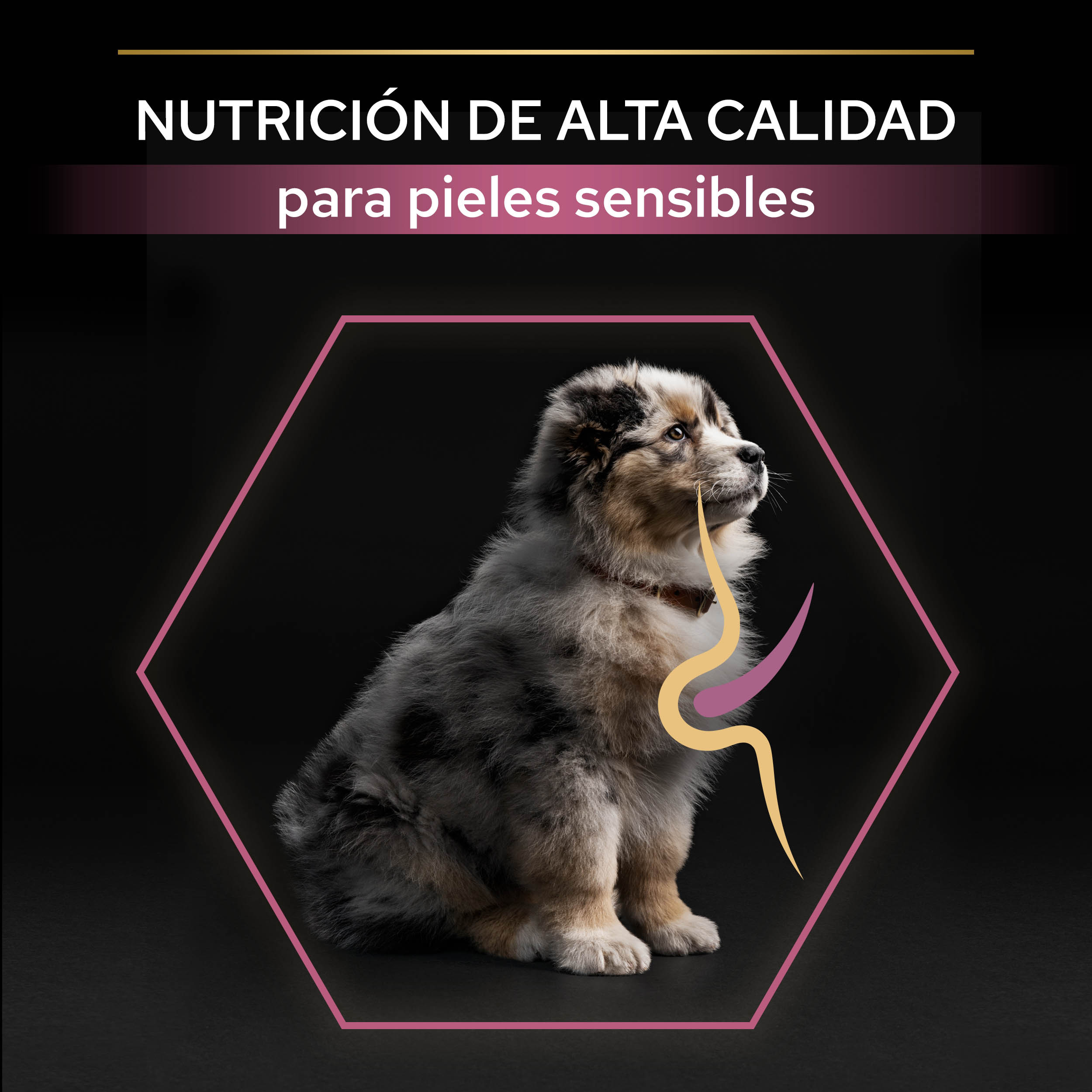 PRO PLAN Puppy Medium SENSITIVE SKIN Salmón - Imagen 4
