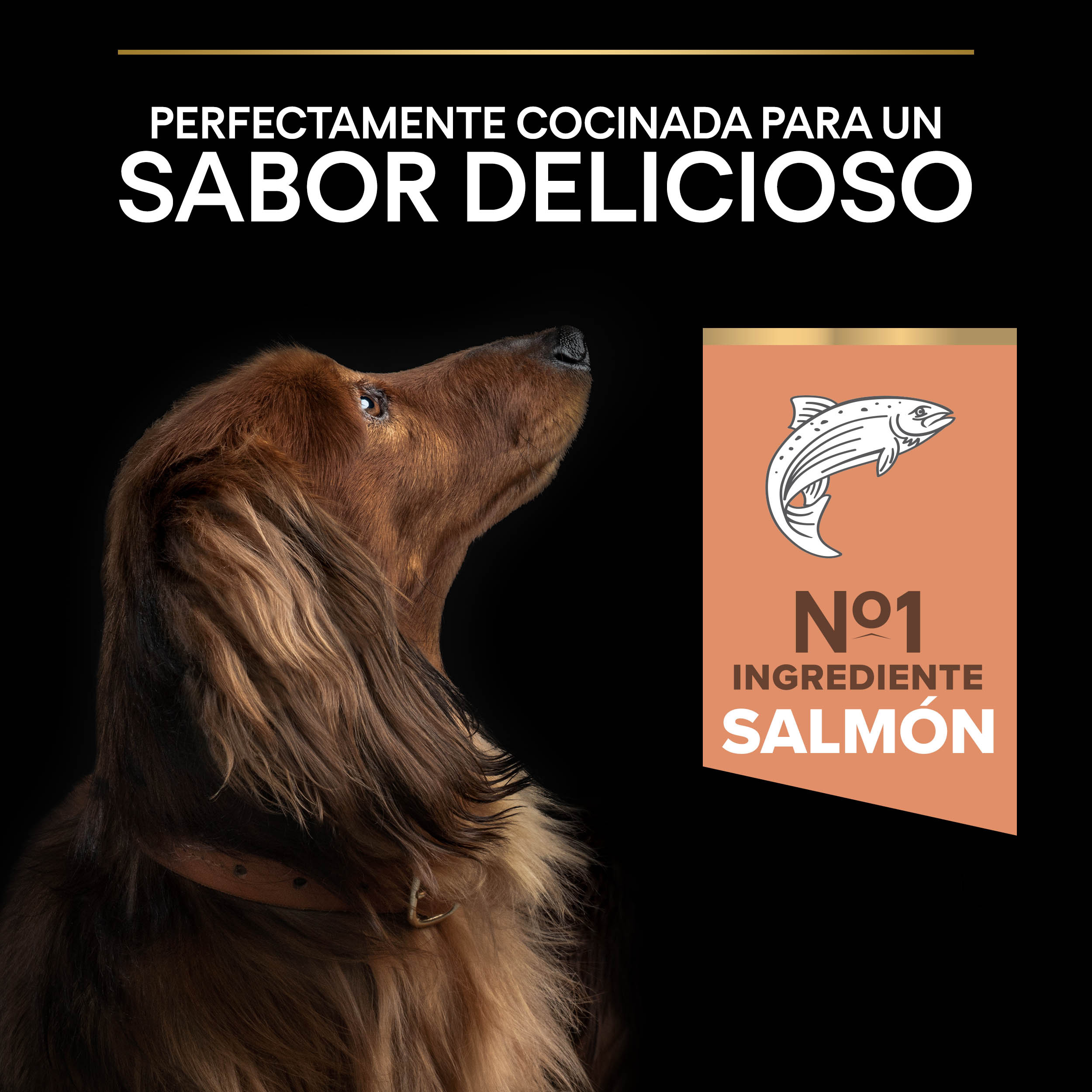 PRO PLAN Small & Mini Adult SENSITIVE SKIN Salmón - Imagen 5