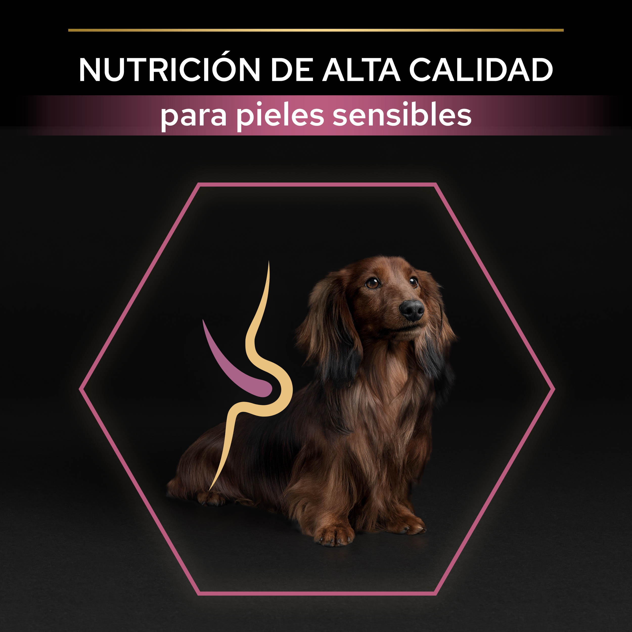 PRO PLAN Small & Mini Adult SENSITIVE SKIN Salmón - Imagen 4