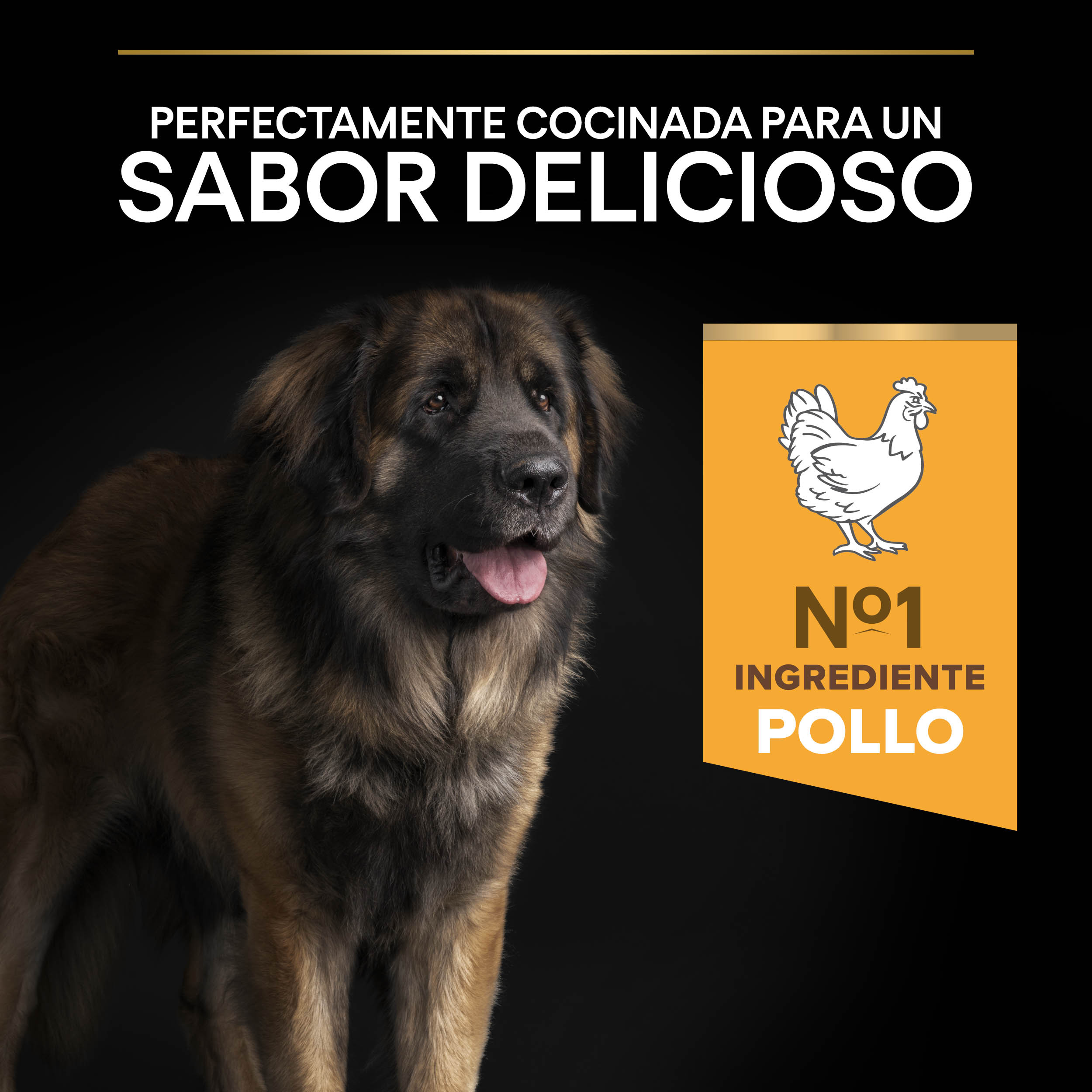 PURINA® PRO PLAN® Large Robust EVERYDAY NUTRITION Adult Pollo - Imagen 5