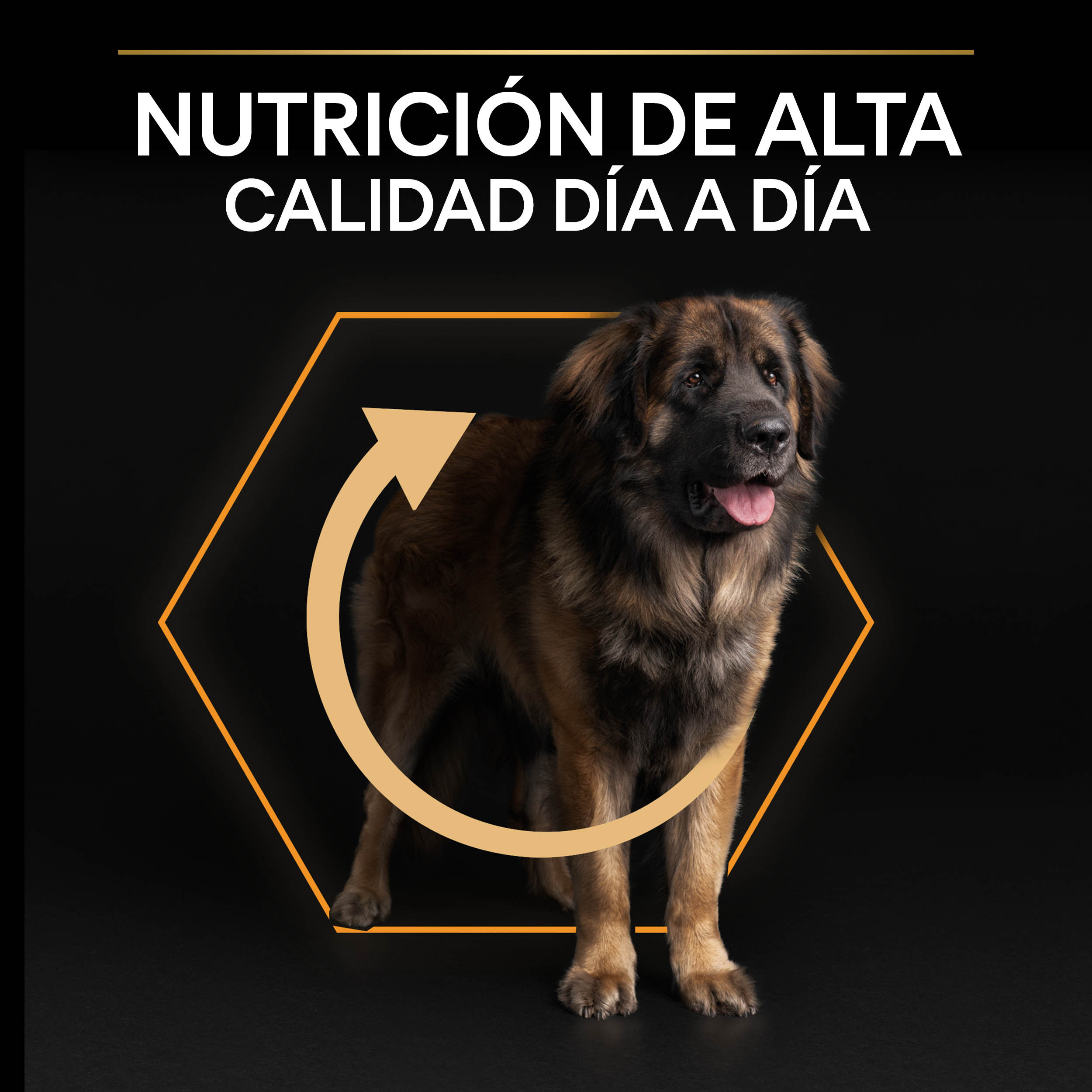 PURINA® PRO PLAN® Large Robust EVERYDAY NUTRITION Adult Pollo - Imagen 4