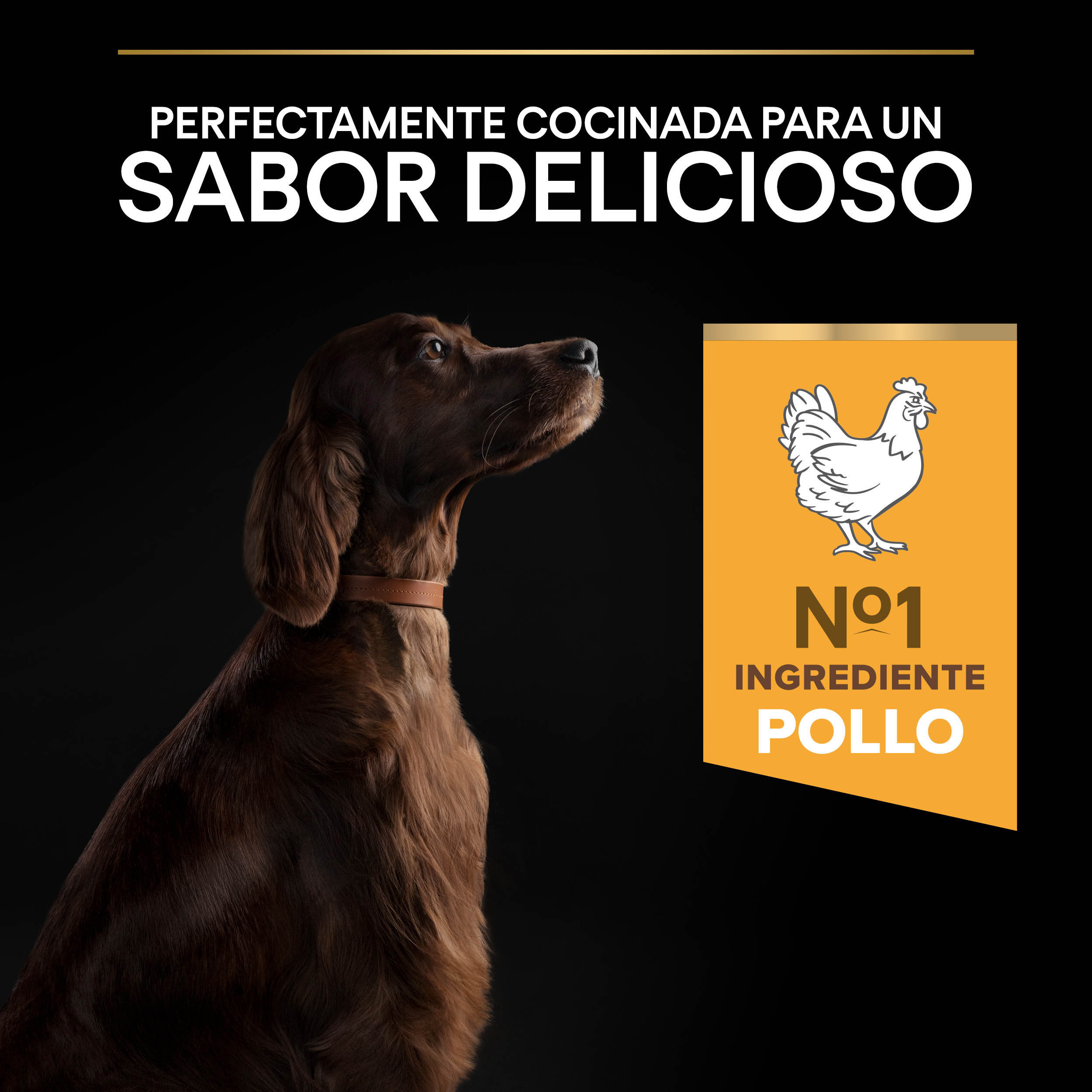 PURINA® PRO PLAN® Large Athletic EVERYDAY NUTRITION Adult Pollo - Imagen 5