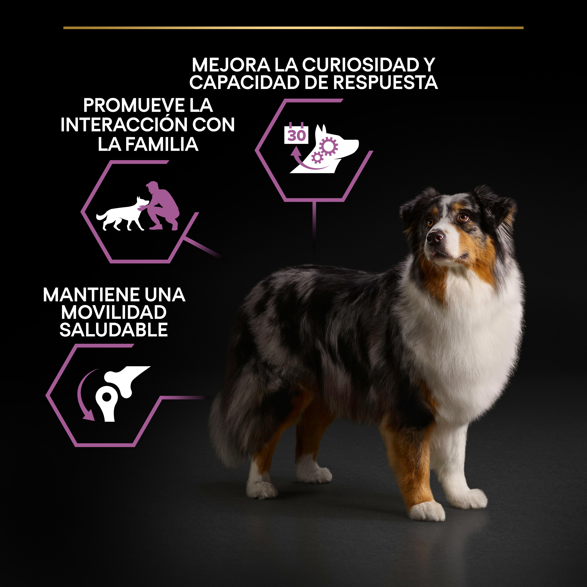 PRO PLAN Medium & Large Adult 7+ AGE DEFENCE Pollo - Imagen 9