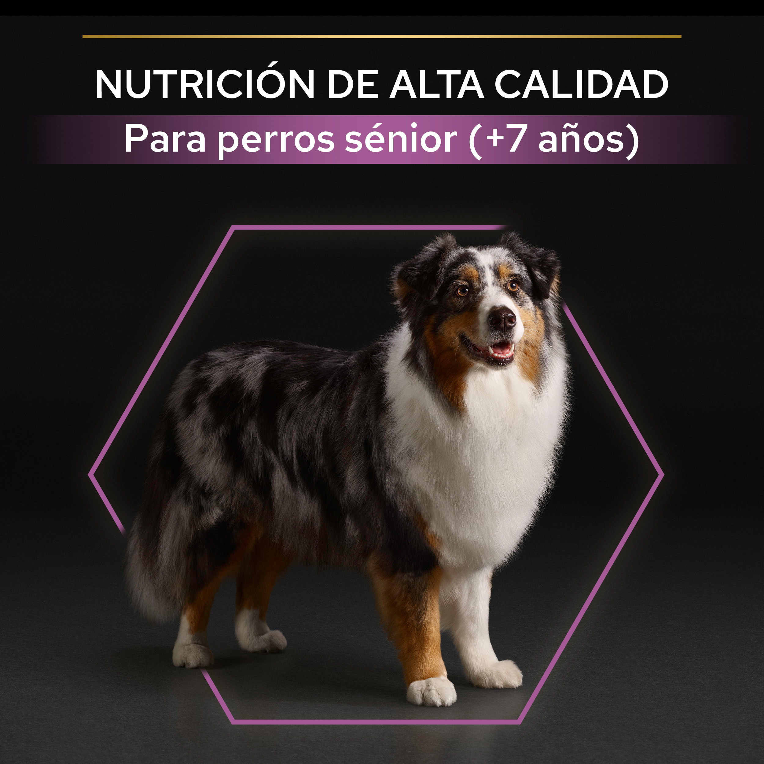 PRO PLAN Medium & Large Adult 7+ AGE DEFENCE Pollo - Imagen 4