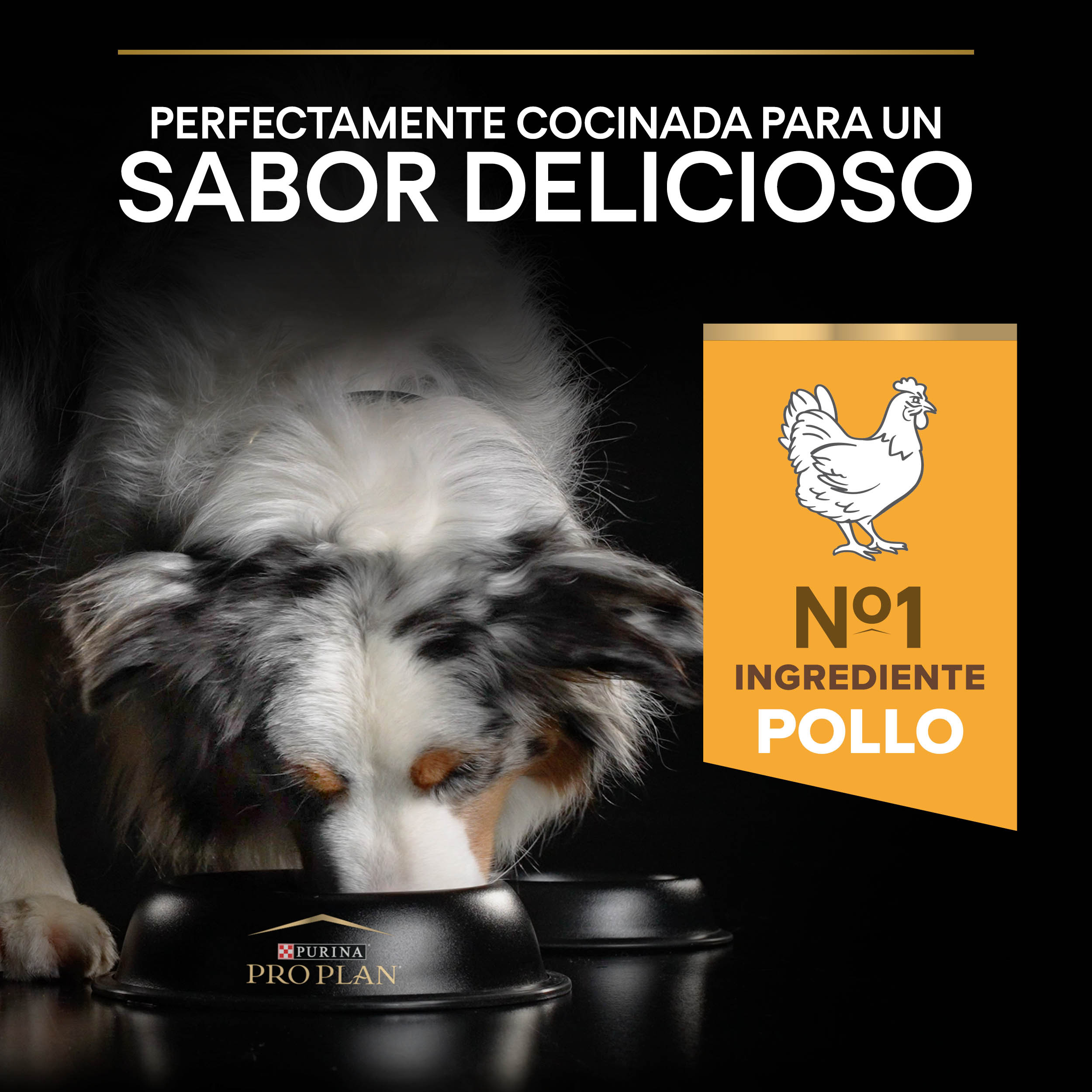 PRO PLAN All Sizes Adult LIGHT / STERILISED Pollo - Imagen 5