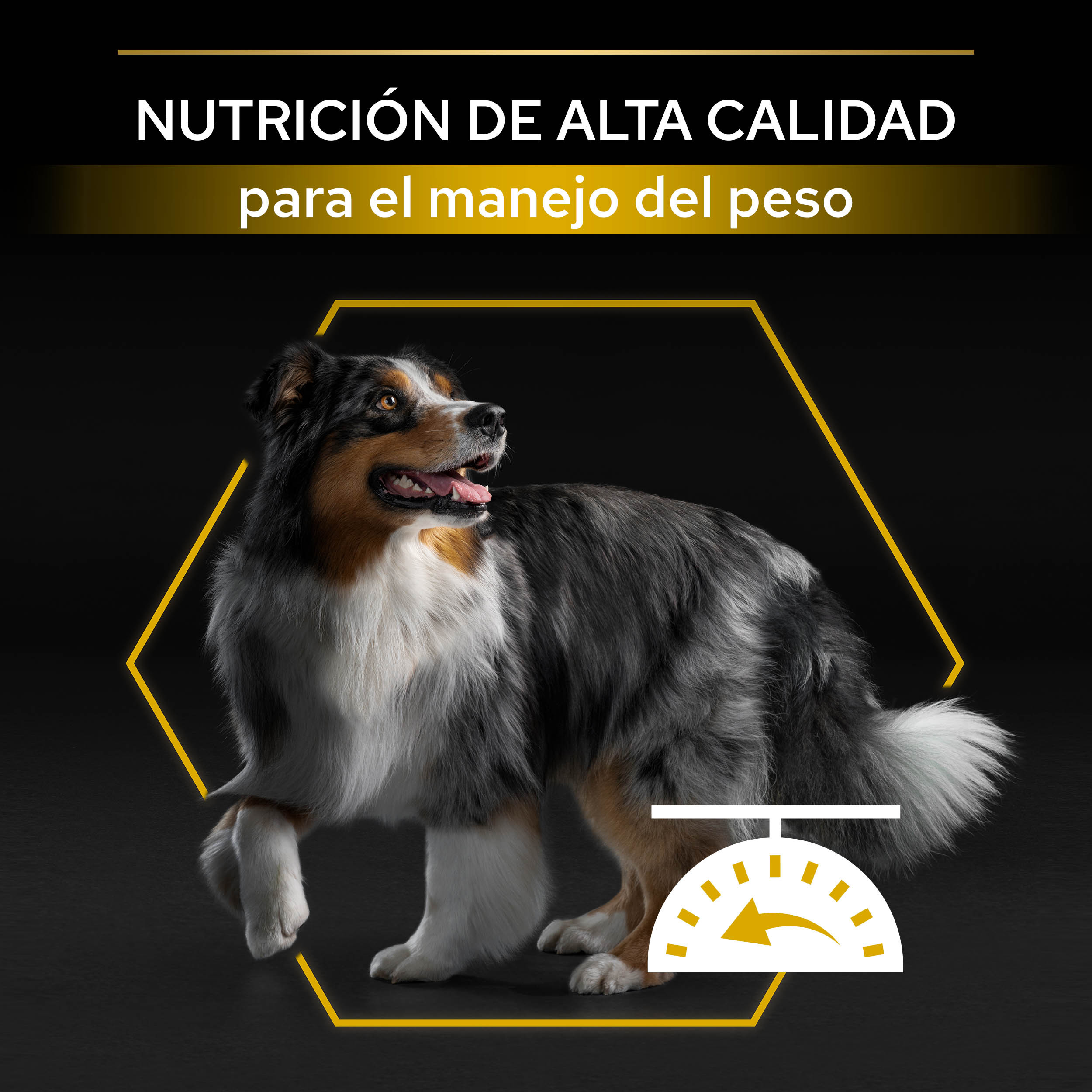 PRO PLAN All Sizes Adult LIGHT / STERILISED Pollo - Imagen 4