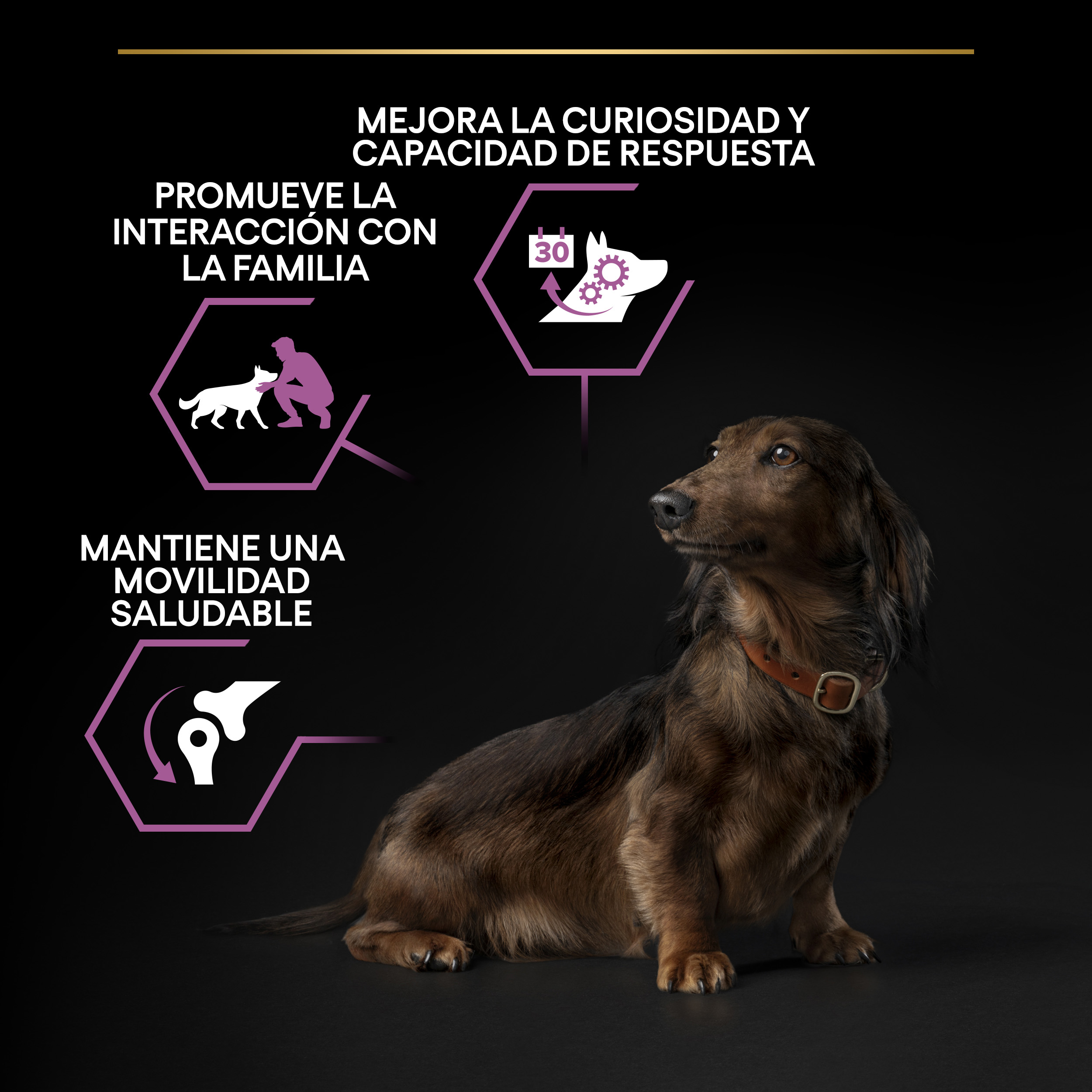 PRO PLAN Small & Mini Adult 9+ AGE DEFENCE Pollo - Imagen 9