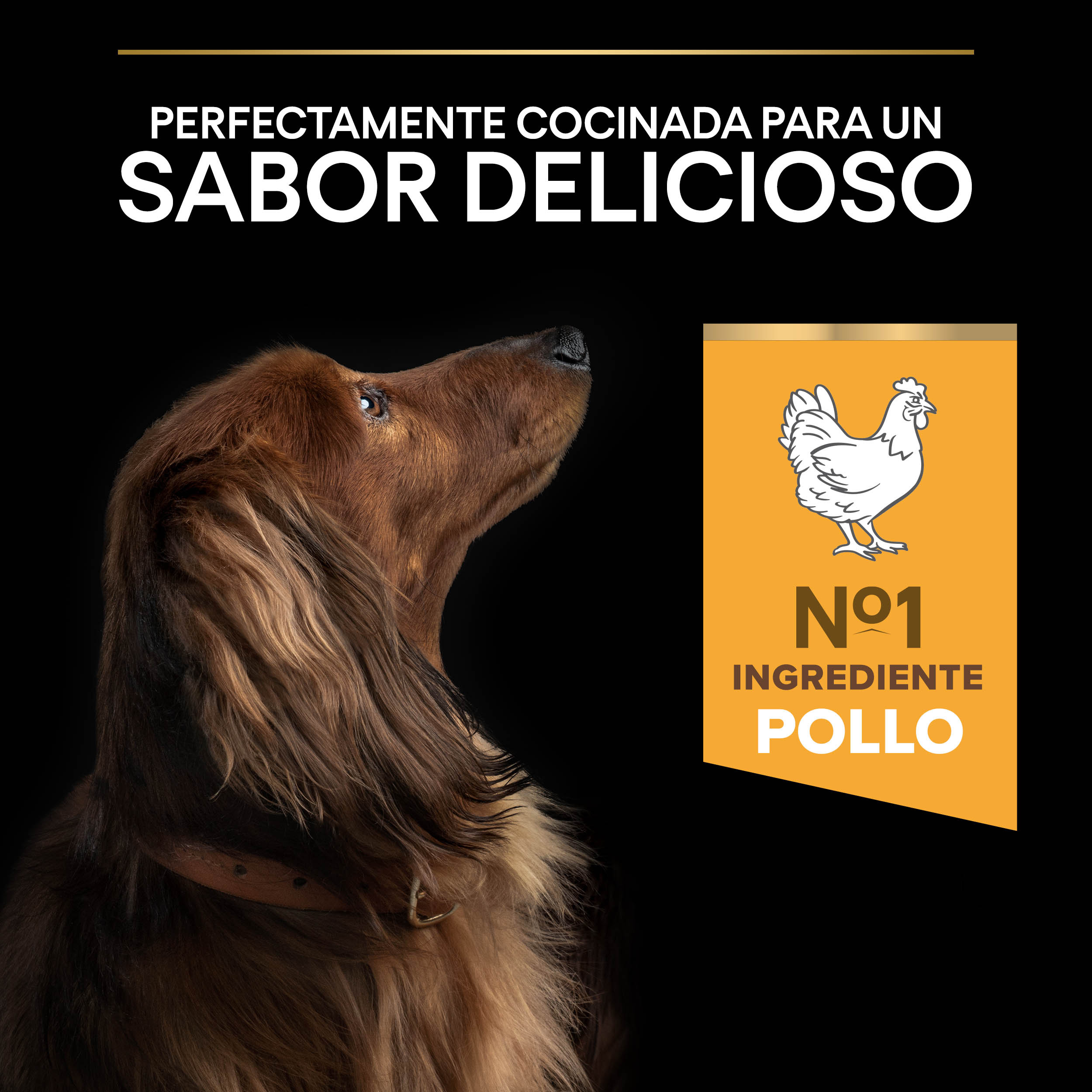 PRO PLAN Small & Mini Adult 9+ AGE DEFENCE Pollo - Imagen 5