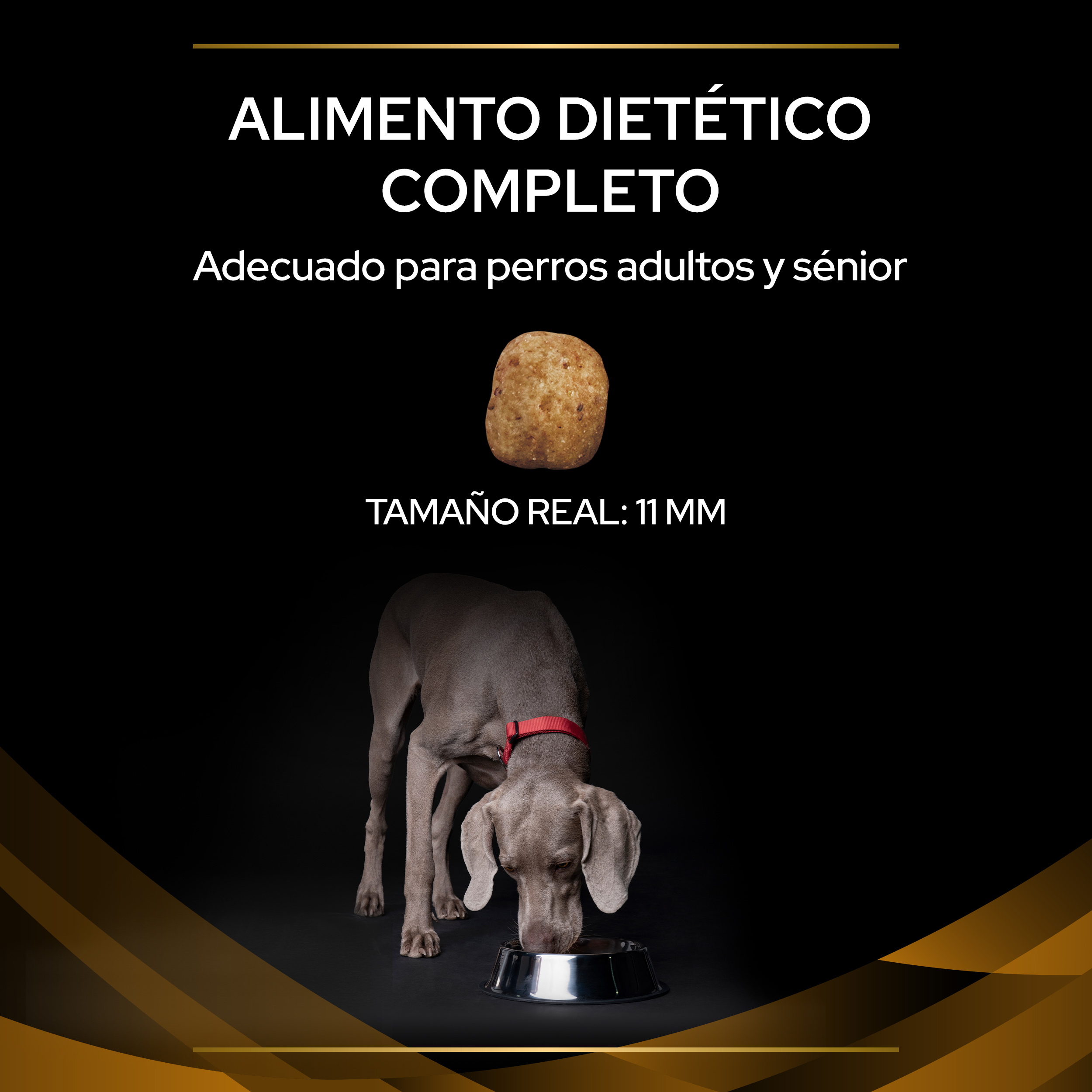 PRO PLAN VETERINARY DIETS CANINE NF Renal Function - Imagen 7