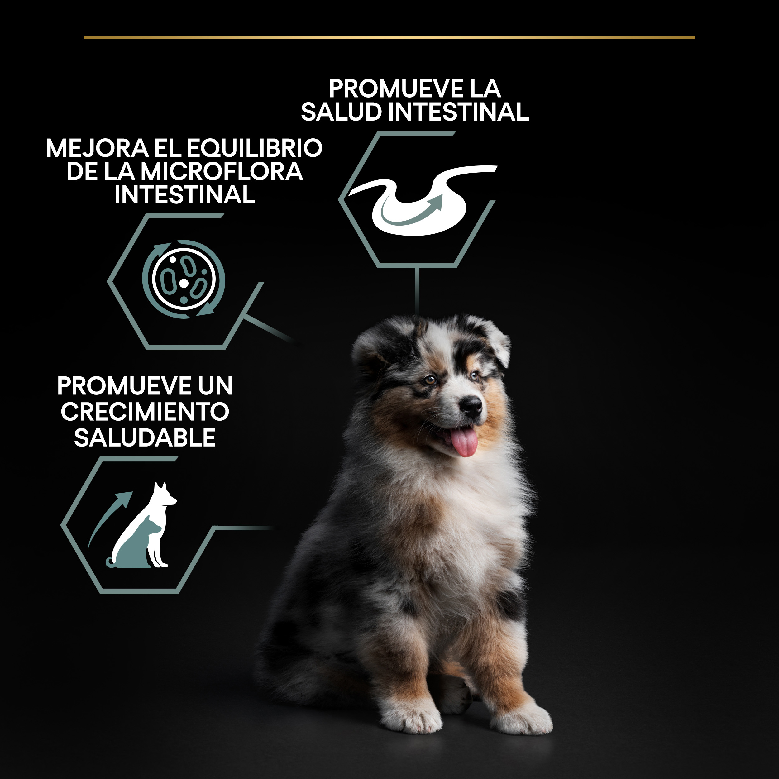 PRO PLAN Puppy Medium SENSITIVE DIGESTION Cordero - Imagen 9