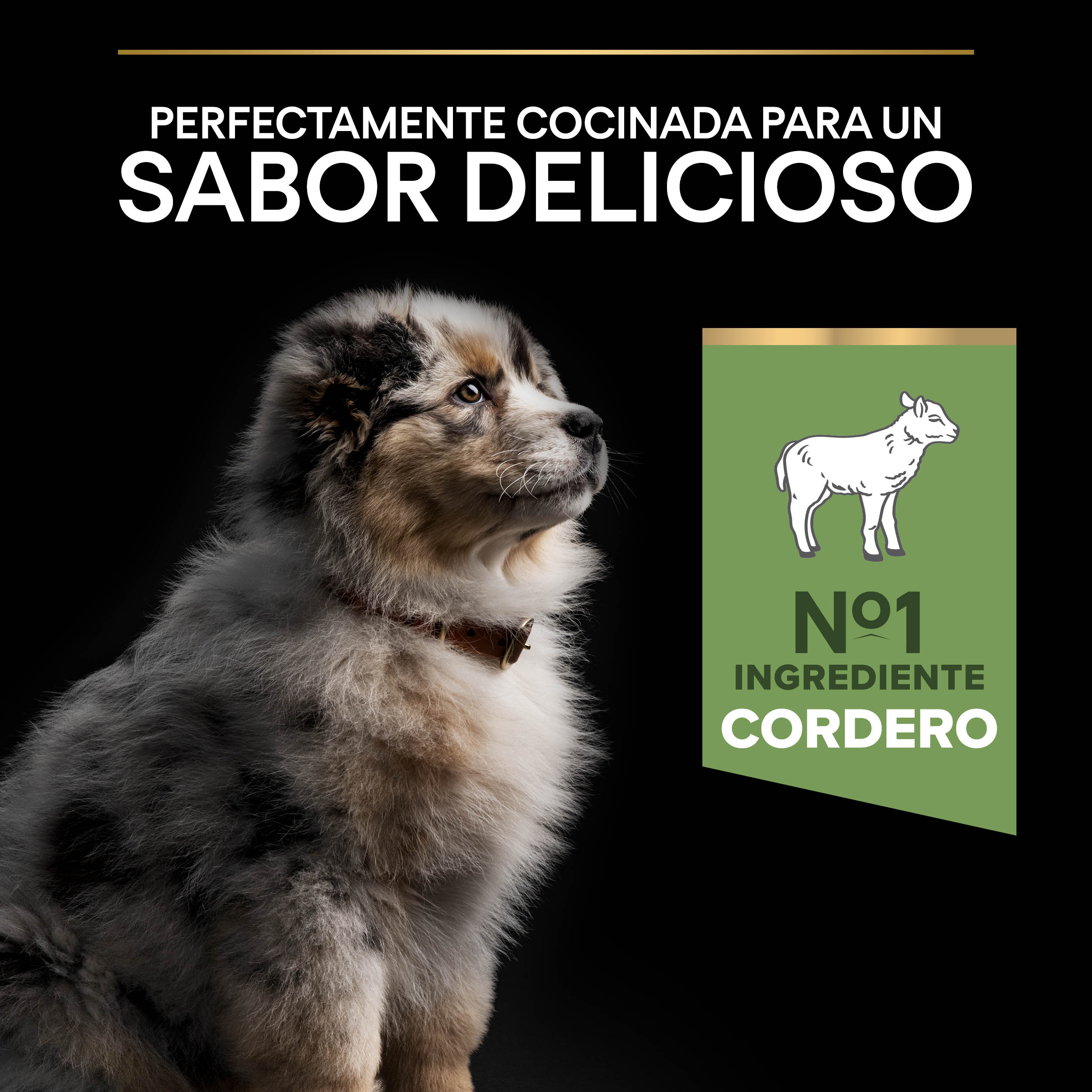 PRO PLAN Puppy Medium SENSITIVE DIGESTION Cordero - Imagen 5
