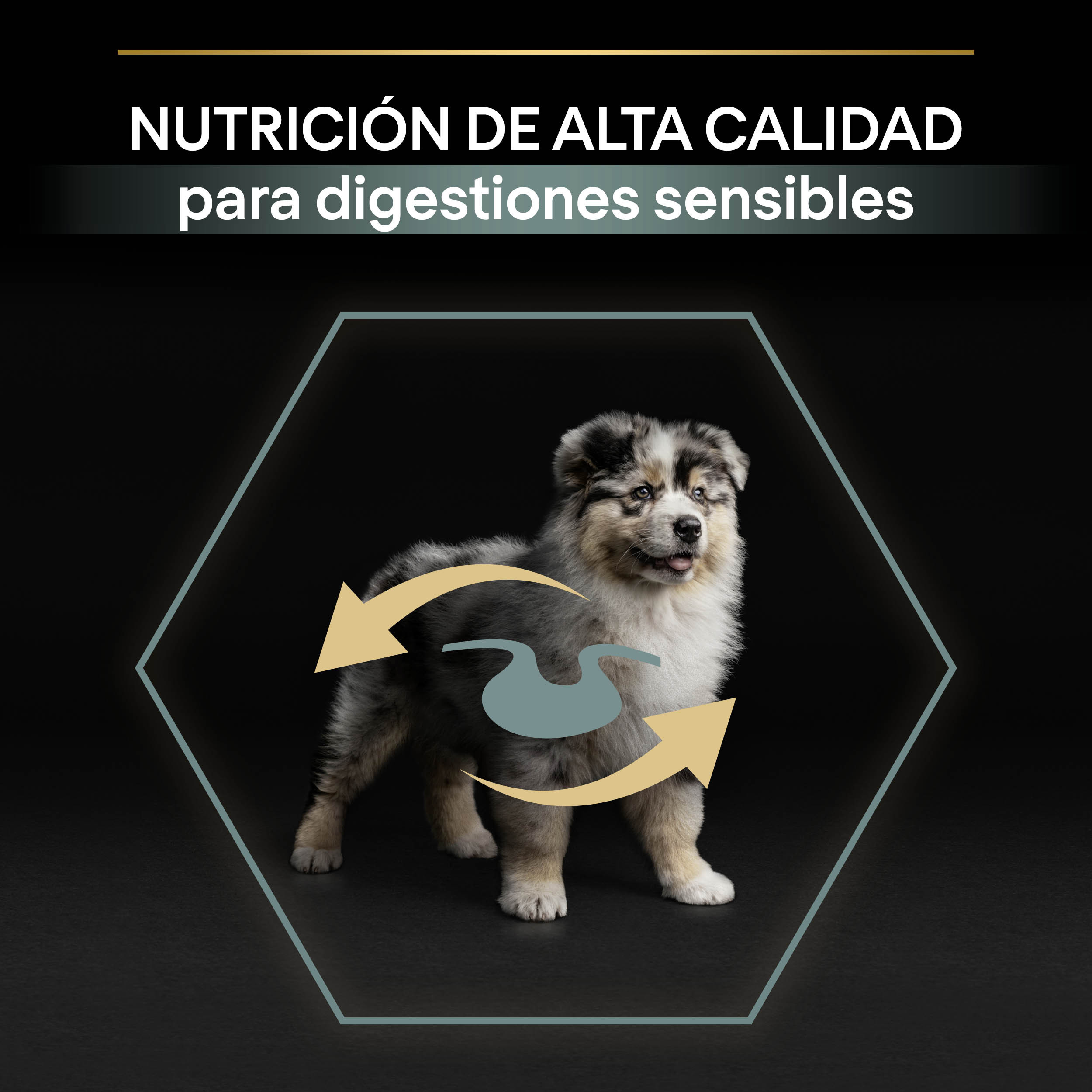 PRO PLAN Puppy Medium SENSITIVE DIGESTION Cordero - Imagen 4