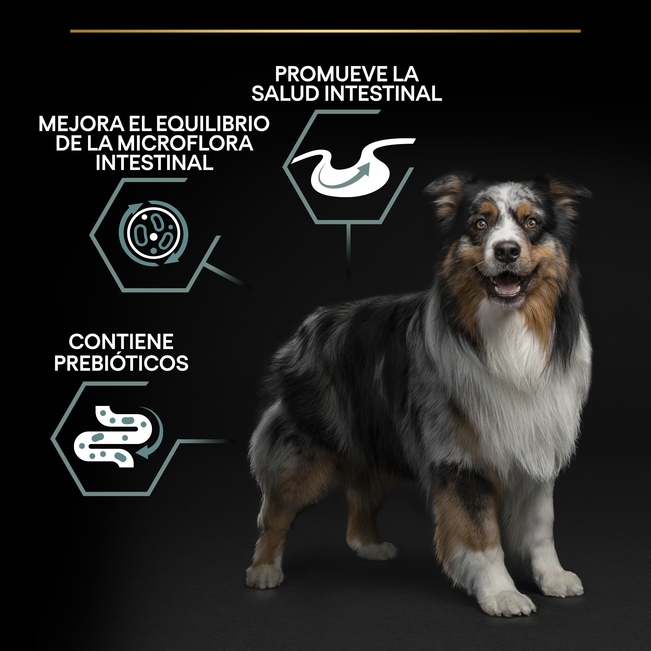 PRO PLAN Medium Adult SENSITIVE DIGESTION Cordero - Imagen 9