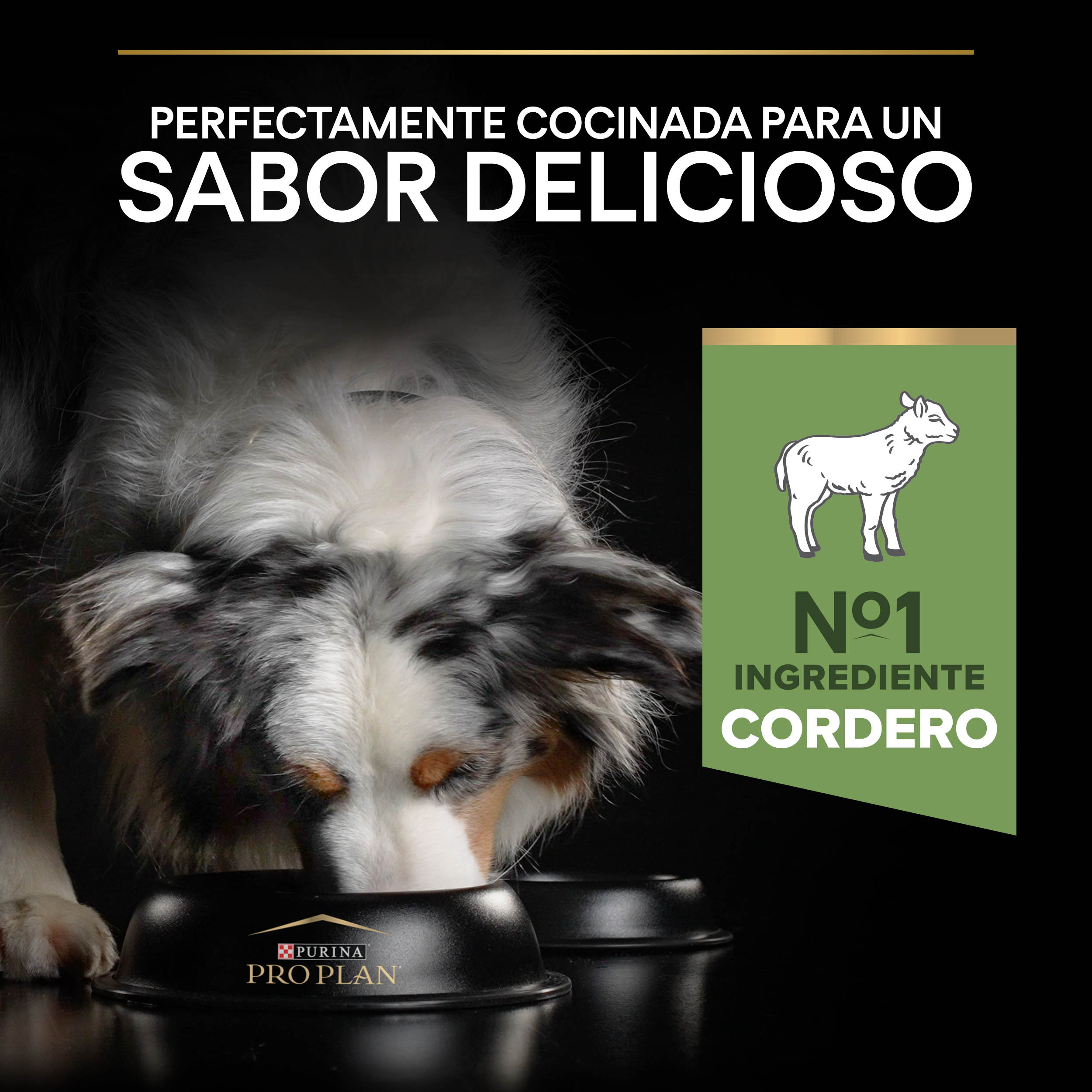 PRO PLAN Medium Adult SENSITIVE DIGESTION Cordero - Imagen 5