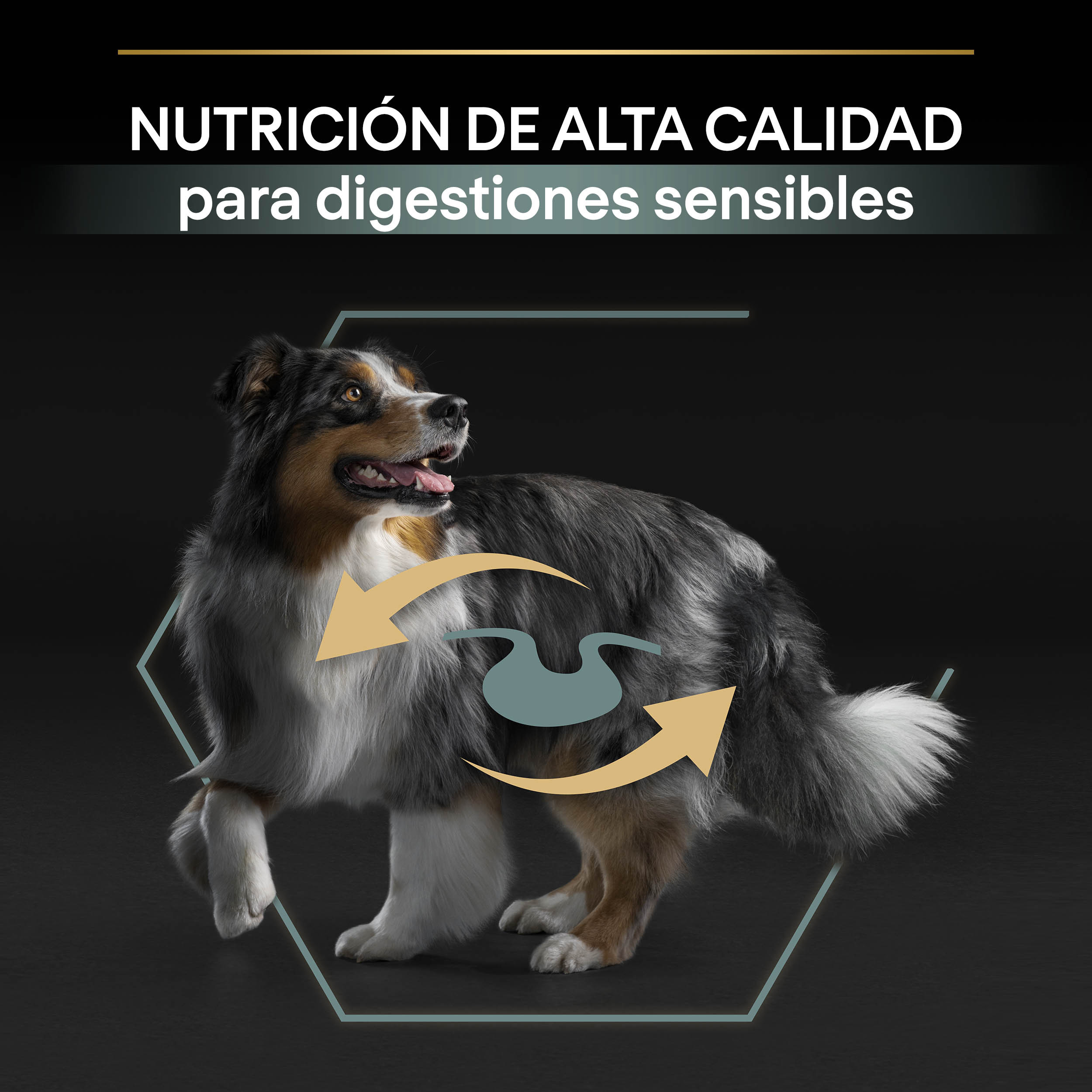 PRO PLAN Medium Adult SENSITIVE DIGESTION Cordero - Imagen 4