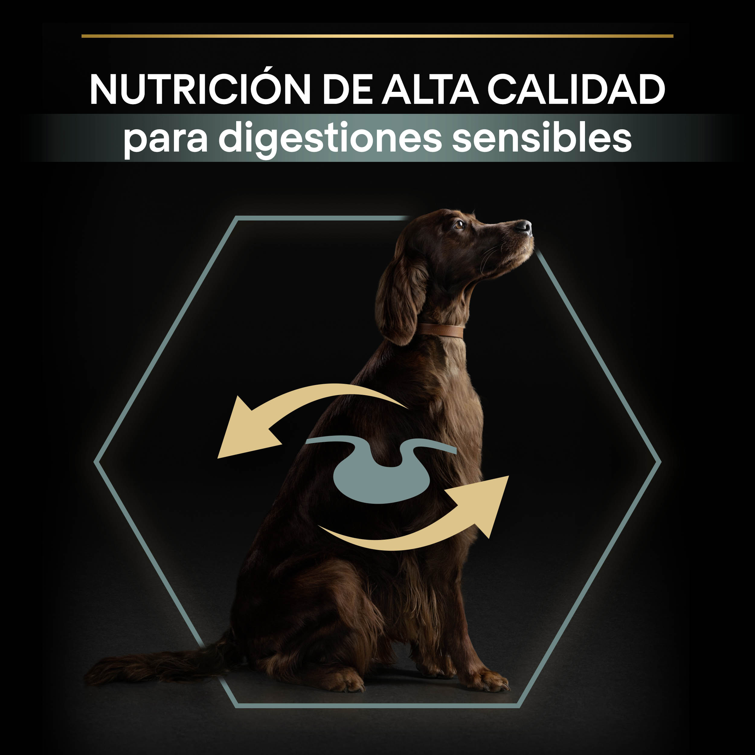 PURINA® PRO PLAN® Large Athletic SENSITIVE DIGESTION Cordero - Imagen 4