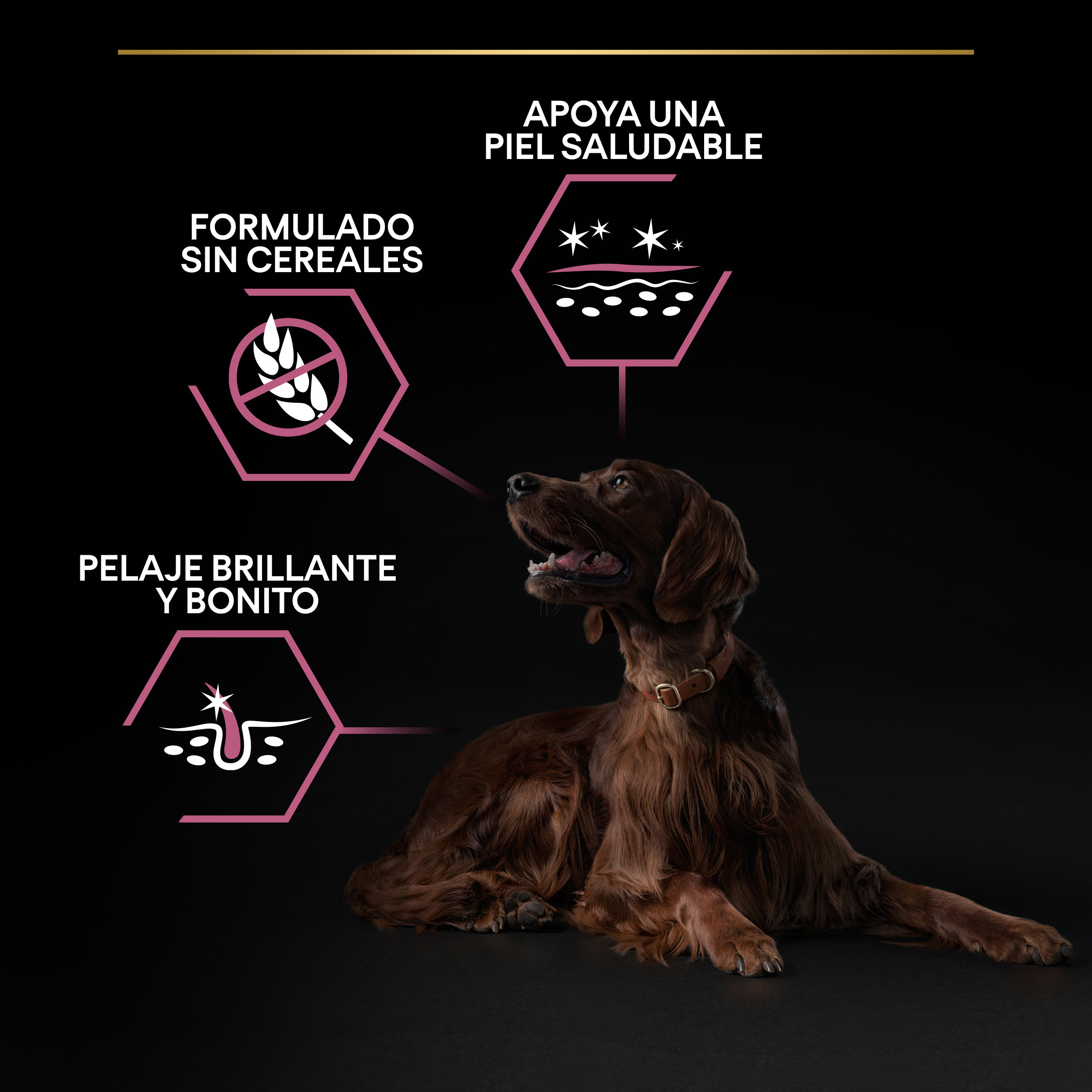 PURINA® PRO PLAN® Large Atheltic Adult SENSITIVE SKIN Salmón - Imagen 8